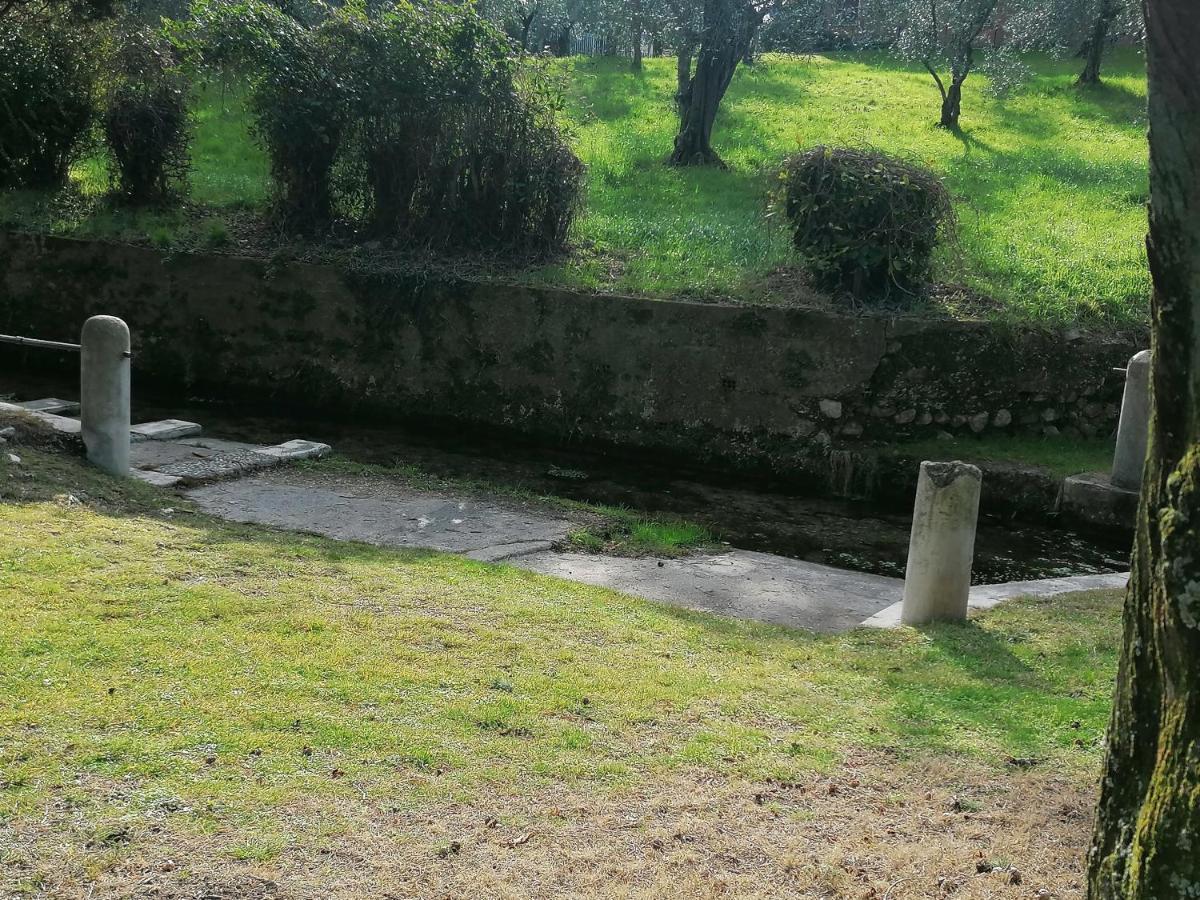 Bilocale Papavero, Magnolia O Girasole San Felice del Benaco Buitenkant foto